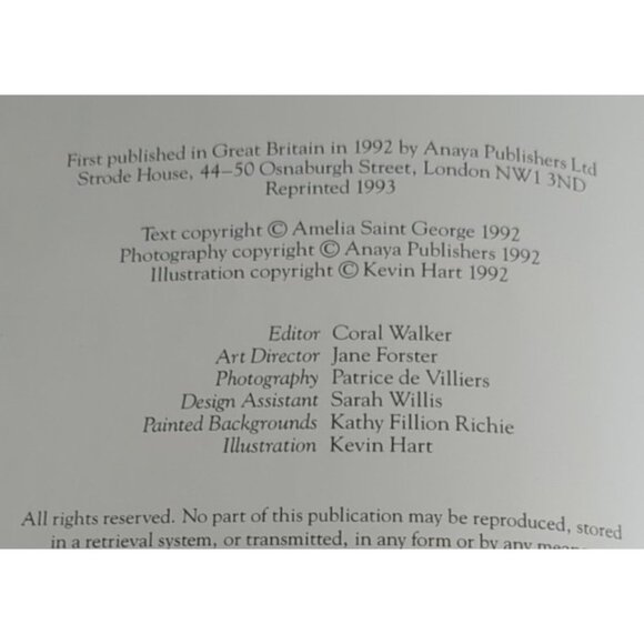 Easy Ways With Dried Flowers By Amelia Saint George Hardback Book - Picture 5 of 6